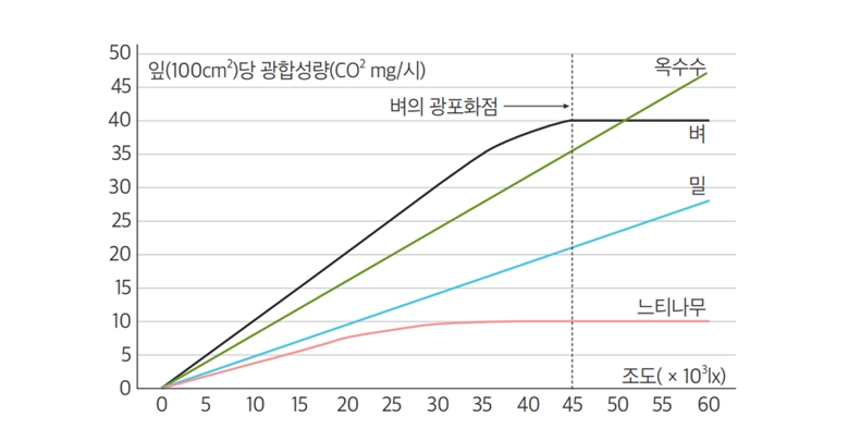 #영농형태양광 #농촌태양광 #만양